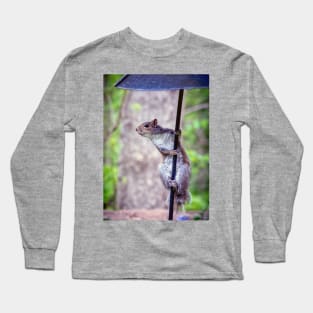 Grey squirrel on a pole Long Sleeve T-Shirt